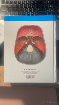 ANATOMIE 1 - Radomír Čihák - 2