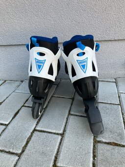 Rollerbalde Arrow brusle 36-40 - 2