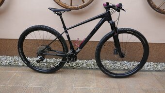 Superior XP 29" Matte Carbon/SLX/DT SWISS - 2