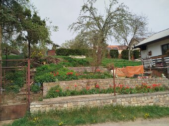 Pronájem zahrady s chatkou v Plzni - 2