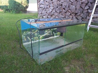 Terarium - 2