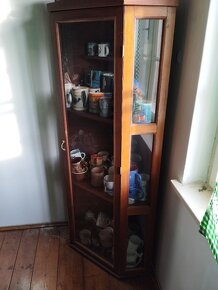 Starožitný skleník, vitrína - 2
