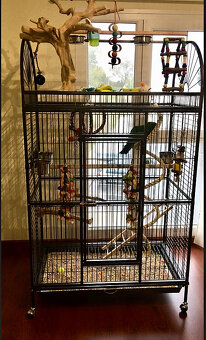 Voliéra - klec XXL nová - 2