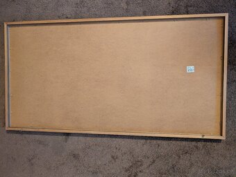 Obraz orchideje kvety - 2