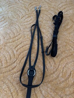 Martingal s pomocnými otěžemi - 2