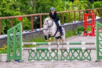 Pony valach kat. A - 2