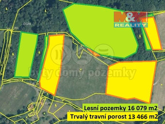 Prodej louky a lesa, 41635 m², Pržno - 2