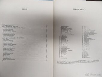 Hlubinami pravěku - J. Augusta a Z. Burian, 1956 - 2