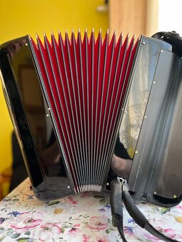 Accordiola - 2