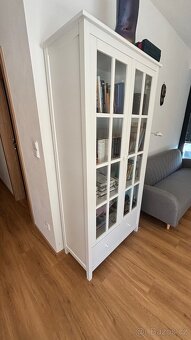 Vitrina / knihovna - 2