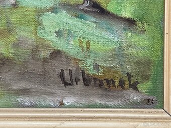 Obraz Urbánek 50x70 plátno olej - 2