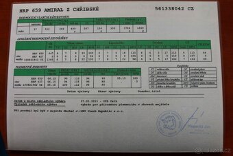 plemenný býk hereford - 2