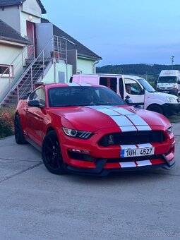 Ford Mustang GT 350 Shelby (USA) - 2