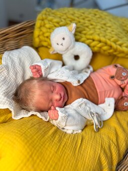 Reborn miminko Alyssa - 2