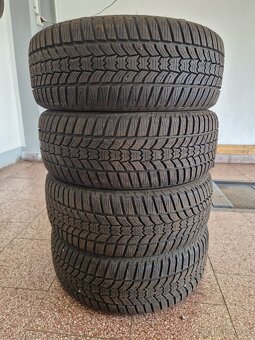 4x zimni pneu 205/55/16...91H...SAVA ESKIMO - 2