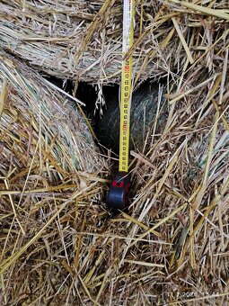 Prodám seno kulaté balíky - 2