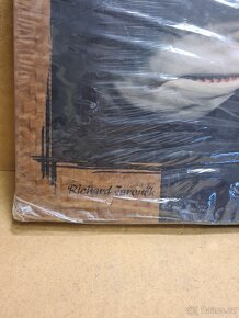 Kniha Čelisti Afriky, Richard Jaroněk - 2