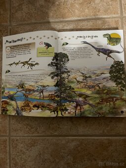 Kniha- UŽ VÍM PROČ ZVÍŘATA - 2