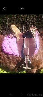 Austrálske sedlo - 2