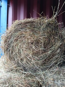 Seno malé balíky - 2