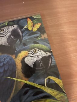 Puzzle 1000 papoušci - 2