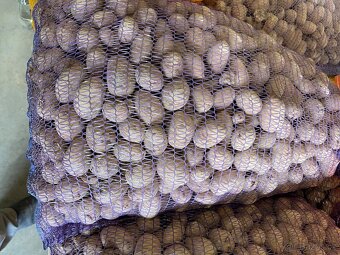 Male brambory na zkrmeni - 2