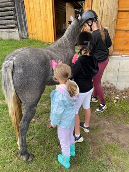 Veľmi mila Pony kobylka - 2