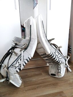 Betony Brians prostock - 2