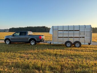 Nabízím přepravu hospodářských zvířat a menších koní - 2