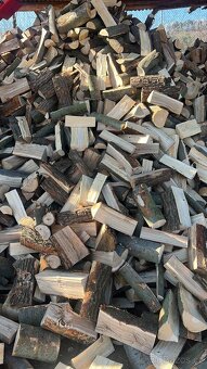 PALIVOVÉ DŘEVO, naštipané, nařezané. - 2