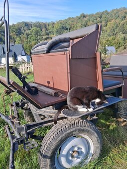 Bryčka za koně, vůz - 2