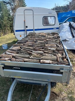 Palivové dřevo - 2