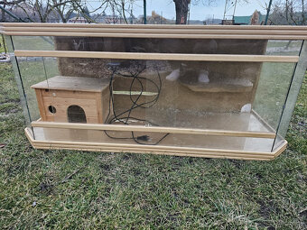 Terarium - 2