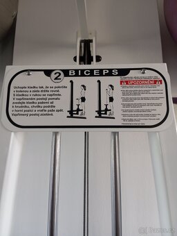 Bicepsový zdvih / přítahy v sedě - 2