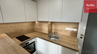 Pronájem bytu 1+kk, Holasická, Opava - 2
