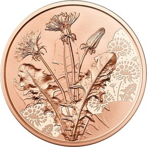 10 euro Rakousko 2022 Pampeliška ideální dárek KM #3344 - 2