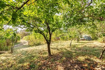 Prodej stavebního pozemku 700 m² Přibice - 2