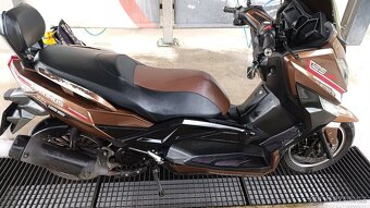 🔥Kentoya Maximus 2017 …125….🔥 - 2