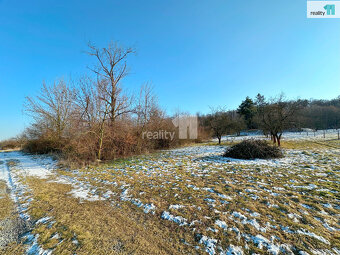 Ovocný sad 5642 m2, Kotojedy - 2