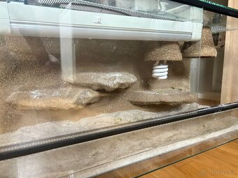 Terarium - 2