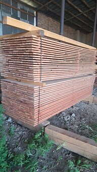 Suché fošny 5.5 cm - 2