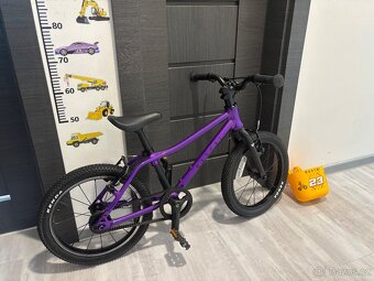 RASCAL 16 limitovana edice - 2