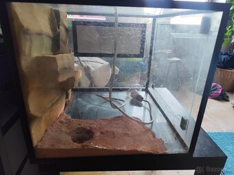 Čtvercové terárium - 2