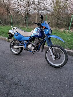 SUZUKI DR 650 - 2