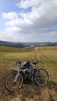 motokolo dio80 - 2