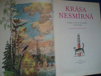 kniha Krása nesmírná - 2