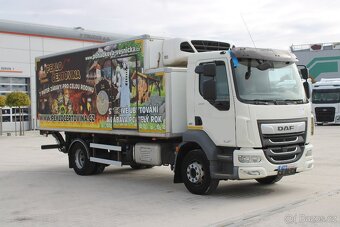 DAF LF 260 FA, EURO 6, HYDRAULICKÉ ČELO, PNEU 80%,MOTO CLIMA - 2