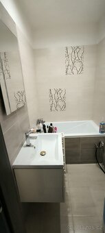Pronájem - 2