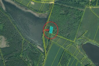 Prodám lesní pozemky v k.ú. Chvalešovice - 2