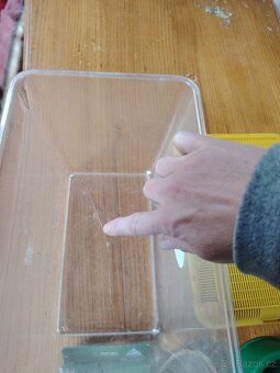 pozůstalosti po myši - 2